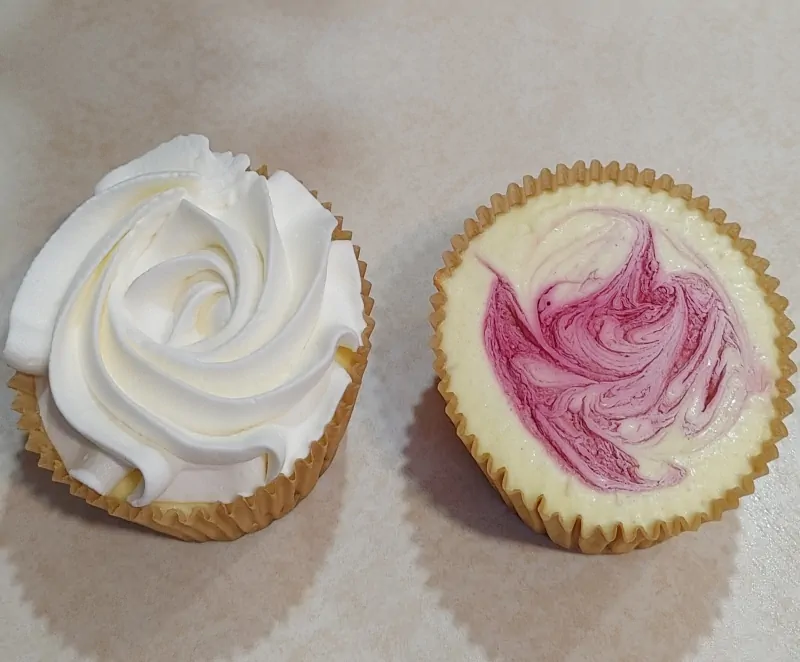 Chocolate Chip Raspberry Swirl Cheesecake